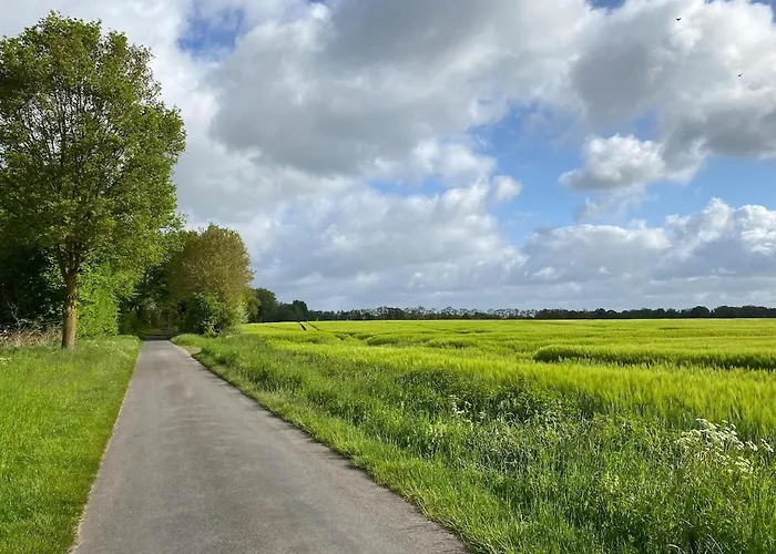 Waldblick Dağ evi *